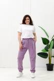 С27037 брюки женские (Фиолетовый) (Фото 1)