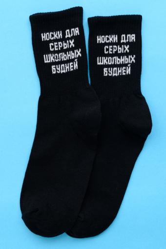Носки мужские Школьные будни (комплект 2 пары) (Черный) - Лазар-Текс